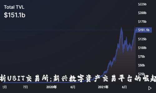 深度解析UBIT交易所：新兴数字资产交易平台的崛起与机遇