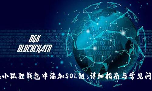 如何在小狐狸钱包中添加SOL链：详细指南与常见问题解析
