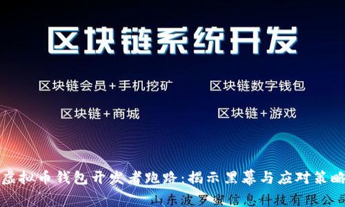 虚拟币钱包开发者跑路：揭示黑幕与应对策略