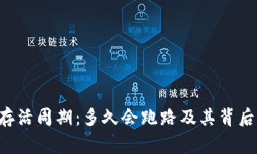 挖矿App的存活周期：多久会跑路及其背后的原因分析