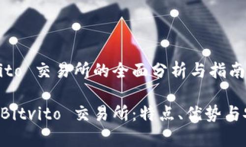 关于 Bitvito 交易所的全面分析与指南

深入了解 Bitvito 交易所：特点、优势与安全性分析