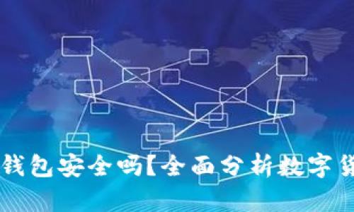 有100万USDT放钱包安全吗？全面分析数字货币安全性与风险