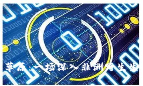 探索贝爷南非草原：一场深入非洲野生生态的冒险之旅