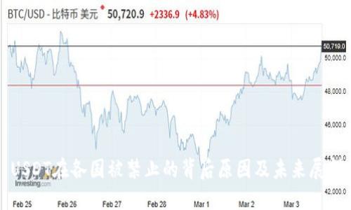 USDT在各国被禁止的背后原因及未来展望