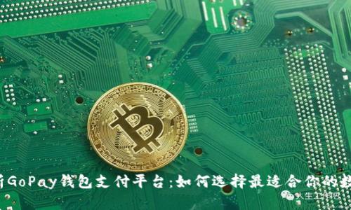 深入解析GoPay钱包支付平台：如何选择最适合你的数字钱包？