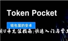 全方位解析U币充值指南：快速入门与常见问题解