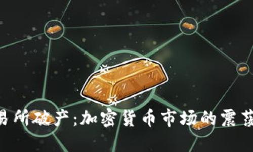 Bittrex交易所破产：加密货币市场的震荡与未来展望