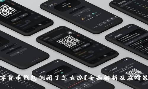 数字货币钱包倒闭了怎么办？全面解析及应对策略