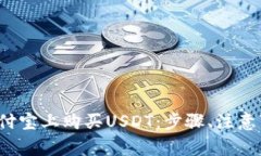  详解如何在支付宝上购买USDT：步骤、注意事项与