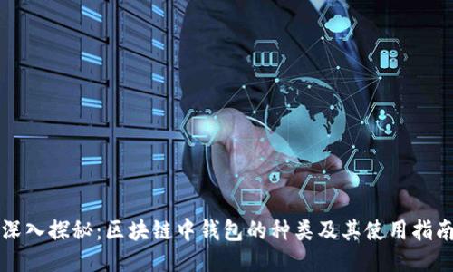 深入探秘：区块链中钱包的种类及其使用指南