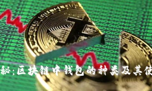 深入探秘：区块链中钱包的种类及其使用指南