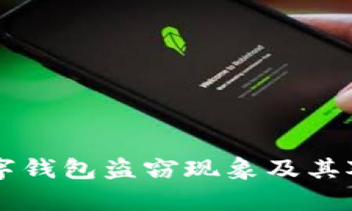 中国数字钱包盗窃现象及其对策分析