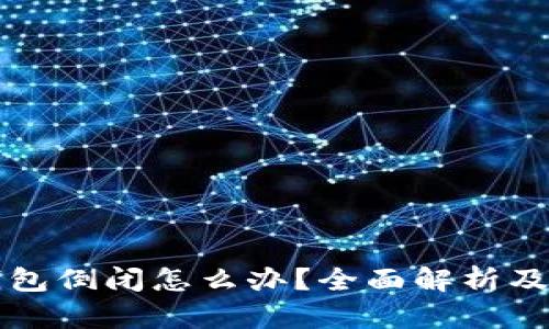 区块链钱包倒闭怎么办？全面解析及应对策略