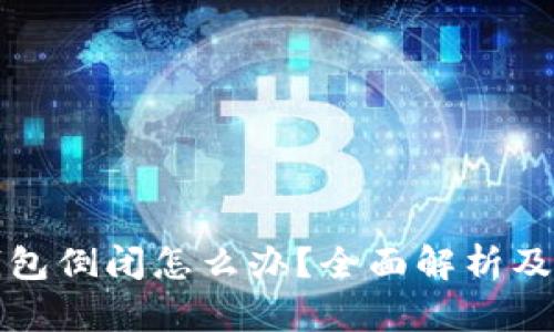 区块链钱包倒闭怎么办？全面解析及应对策略