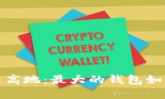 探索区块链时代的金融新高地：最大的钱包如何