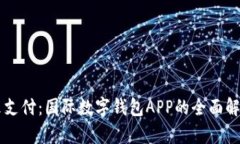 掌握未来支付：国际数字钱包APP的全面解析与应