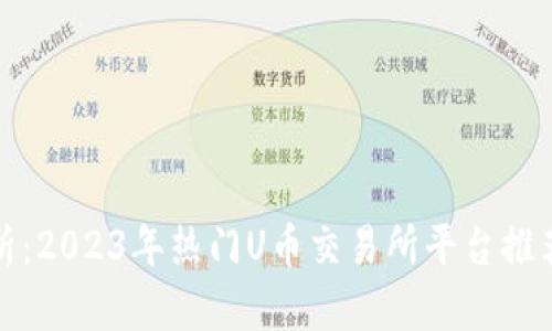 全面解析：2023年热门U币交易所平台推荐与比较