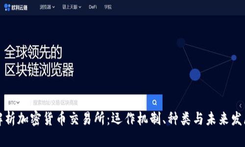深入解析加密货币交易所：运作机制、种类与未来发展趋势