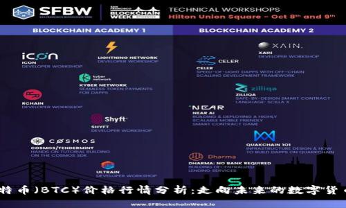2023年比特币（BTC）价格行情分析：走向未来的数字货币投资机遇
