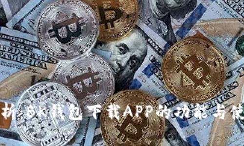 全面解析：BK钱包下载APP的功能与使用指南