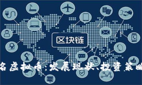 全面解析知名虚拟币：发展现状、投资策略与未来趋势