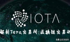 深入解析Tera交易所：区块链交易的未来