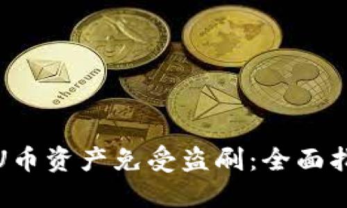如何保护你的U币资产免受盗刷：全面指南与防范措施