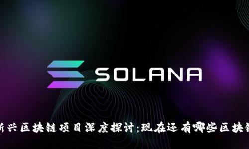 2023年新兴区块链项目深度探讨：现在还有哪些区块链可以玩？