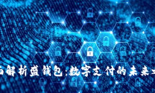 全面解析盛钱包：数字支付的未来之路