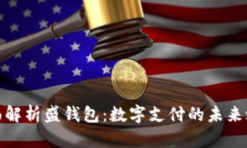 全面解析盛钱包：数字支付的未来之路