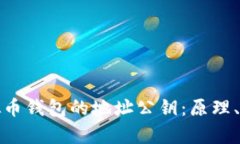 全面解析虚拟币钱包的地址公钥：原理、类型与