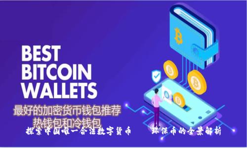 探索中国唯一合法数字货币——环保币的全景解析