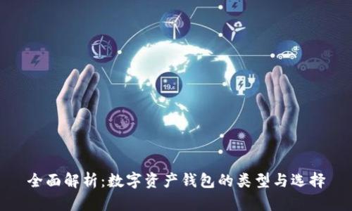 全面解析：数字资产钱包的类型与选择