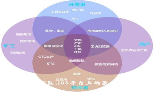 全面解析区块链钱包：iOS平台上的最佳选择与使用指南