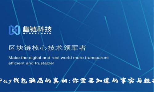 揭开iPay钱包骗局的真相：你需要知道的事实与数据分析