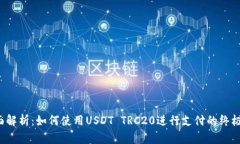  全面解析：如何使用USDT TRC20进行支付的终极指南