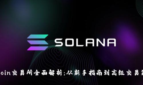Okcoin交易所全面解析：从新手指南到高级交易策略