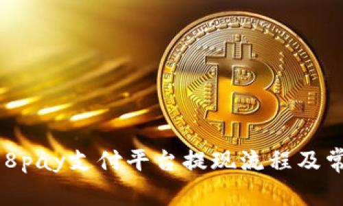 全面解析988pay支付平台提现流程及常见问题解答
