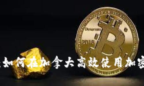 深入探索：如何在加拿大高效使用加密货币钱包