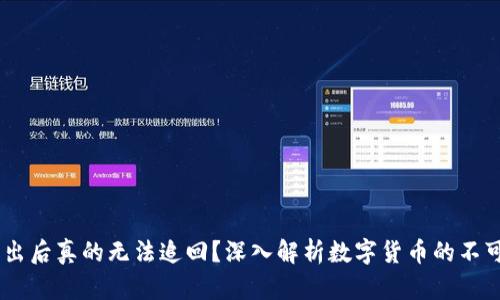 USDT转出后真的无法追回？深入解析数字货币的不可逆特性