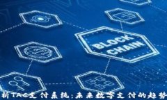 全面解析TAC支付系统：未来数字支付的趋势与优