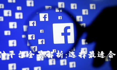 2023年虚拟币支付平台全景解析：选择最适合你的数字支付工具