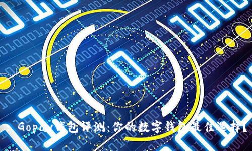 : Gopay钱包评测：你的数字钱包最佳选择？