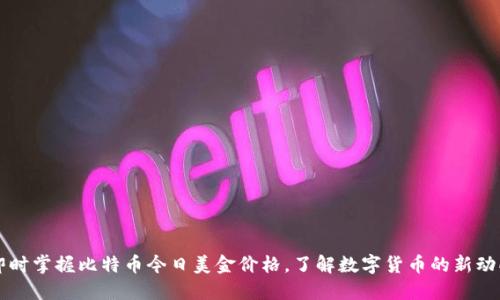 即时掌握比特币今日美金价格，了解数字货币的新动向