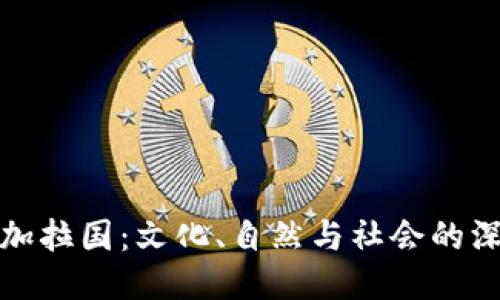 探索孟加拉国：文化、自然与社会的深度揭示