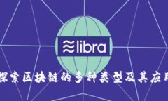 深入探索区块链的多种类型及其应用前景