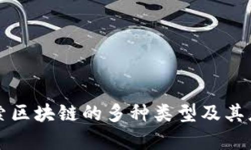 深入探索区块链的多种类型及其应用前景