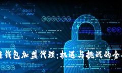 区块链钱包加盟代理：机遇与挑战的全面解析