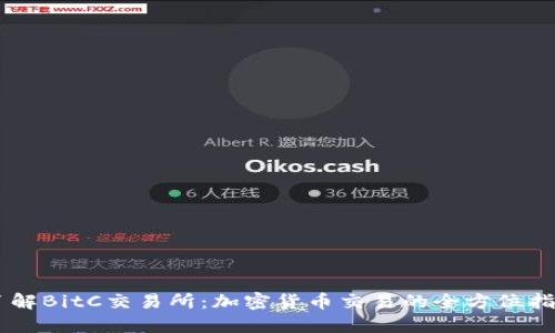 了解BitC交易所：加密货币交易的全方位指南
