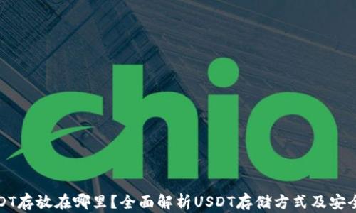 
USDT存放在哪里？全面解析USDT存储方式及安全性